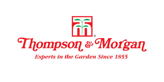 Show vouchers for Thompson & Morgan