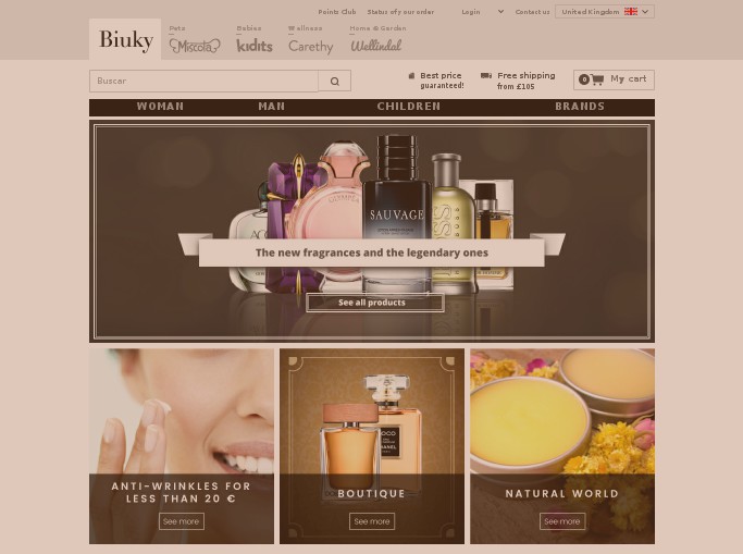 Screenshot of the shop