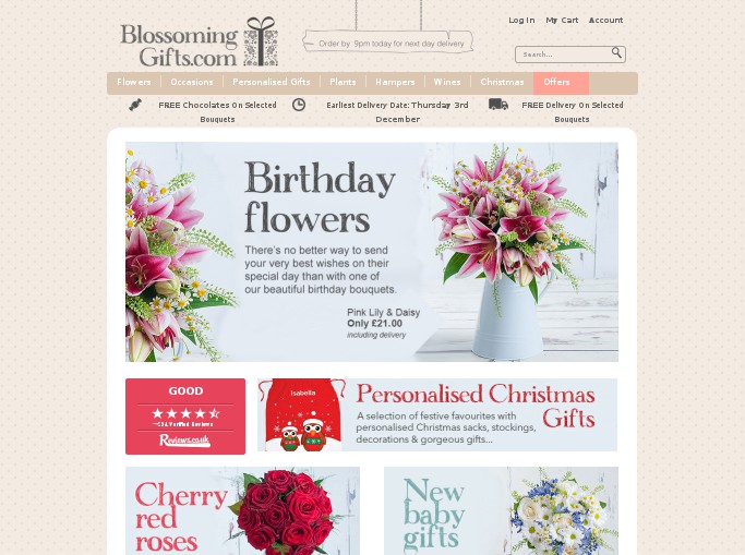 Screenshot of the shop