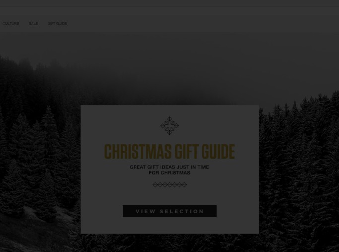 Screenshot of the shop