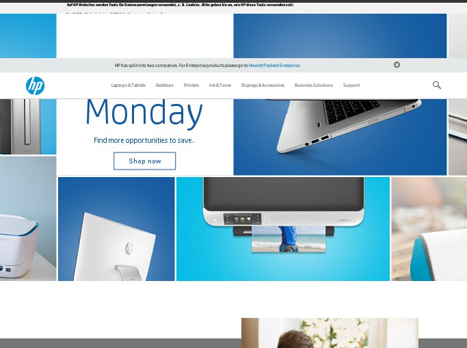 Screenshot of the shop