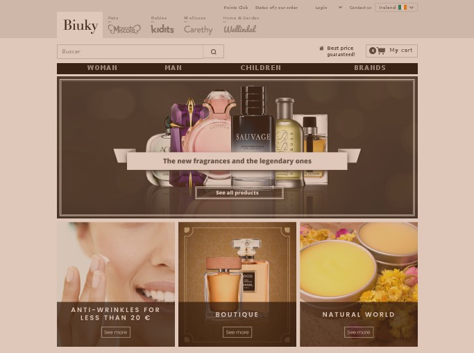 Screenshot of the shop