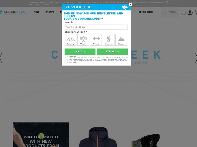 Screenshot of the shop