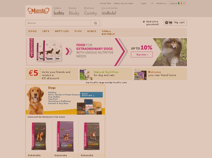 Screenshot of the shop