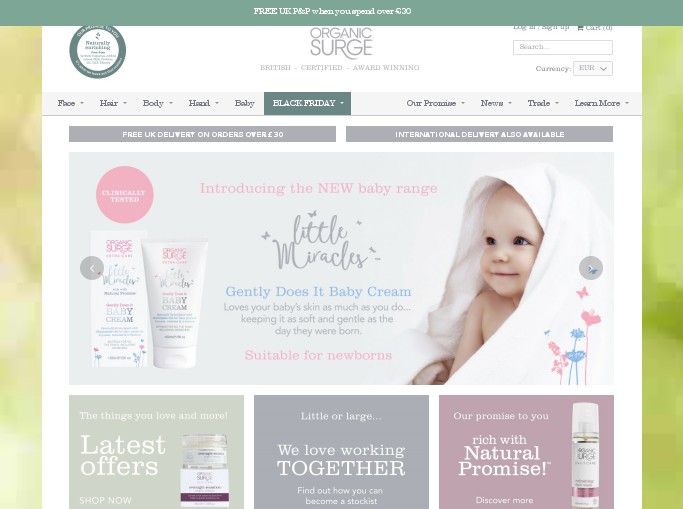 Screenshot of the shop