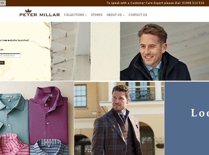 Screenshot of the shop