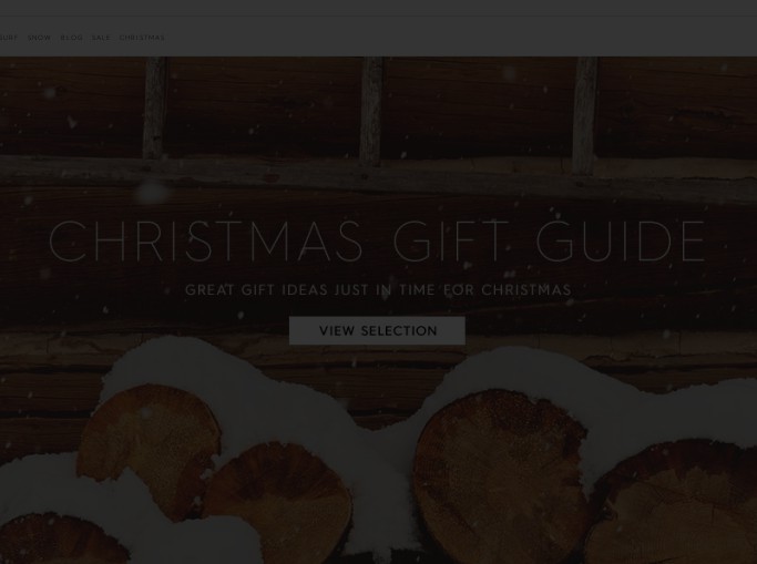 Screenshot of the shop