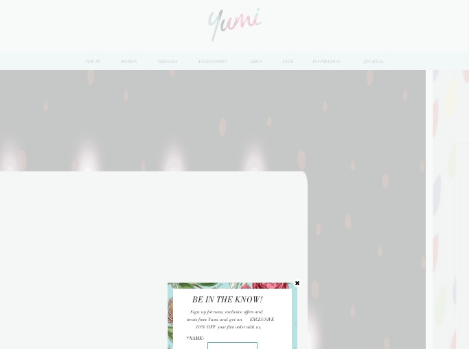 Screenshot of the shop